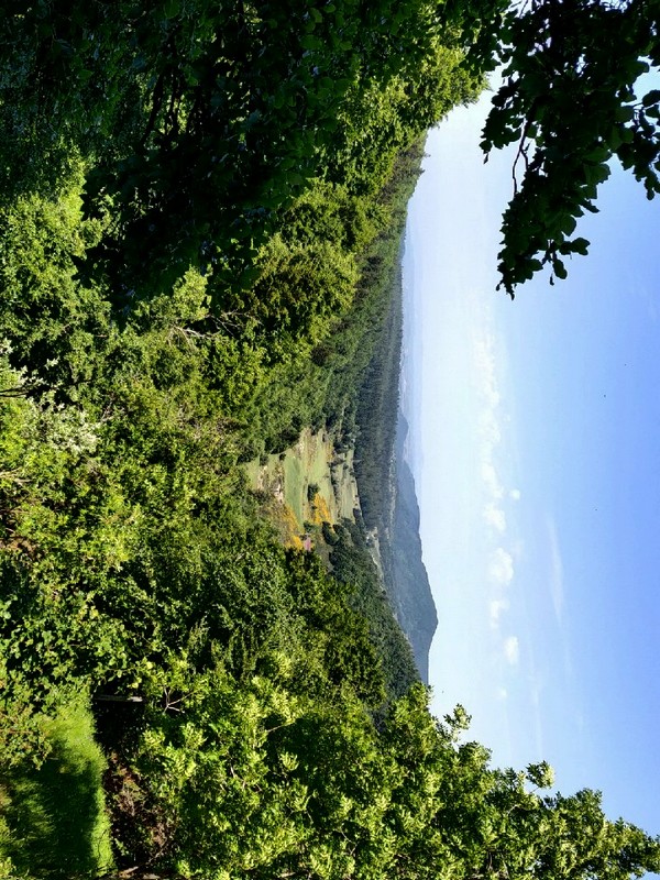 Vue panoramique sous l'Aigoual