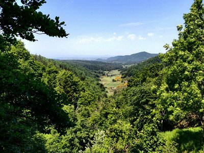 Vue panoramique sous l'Aigoual