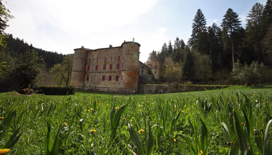 Château de Roquedols