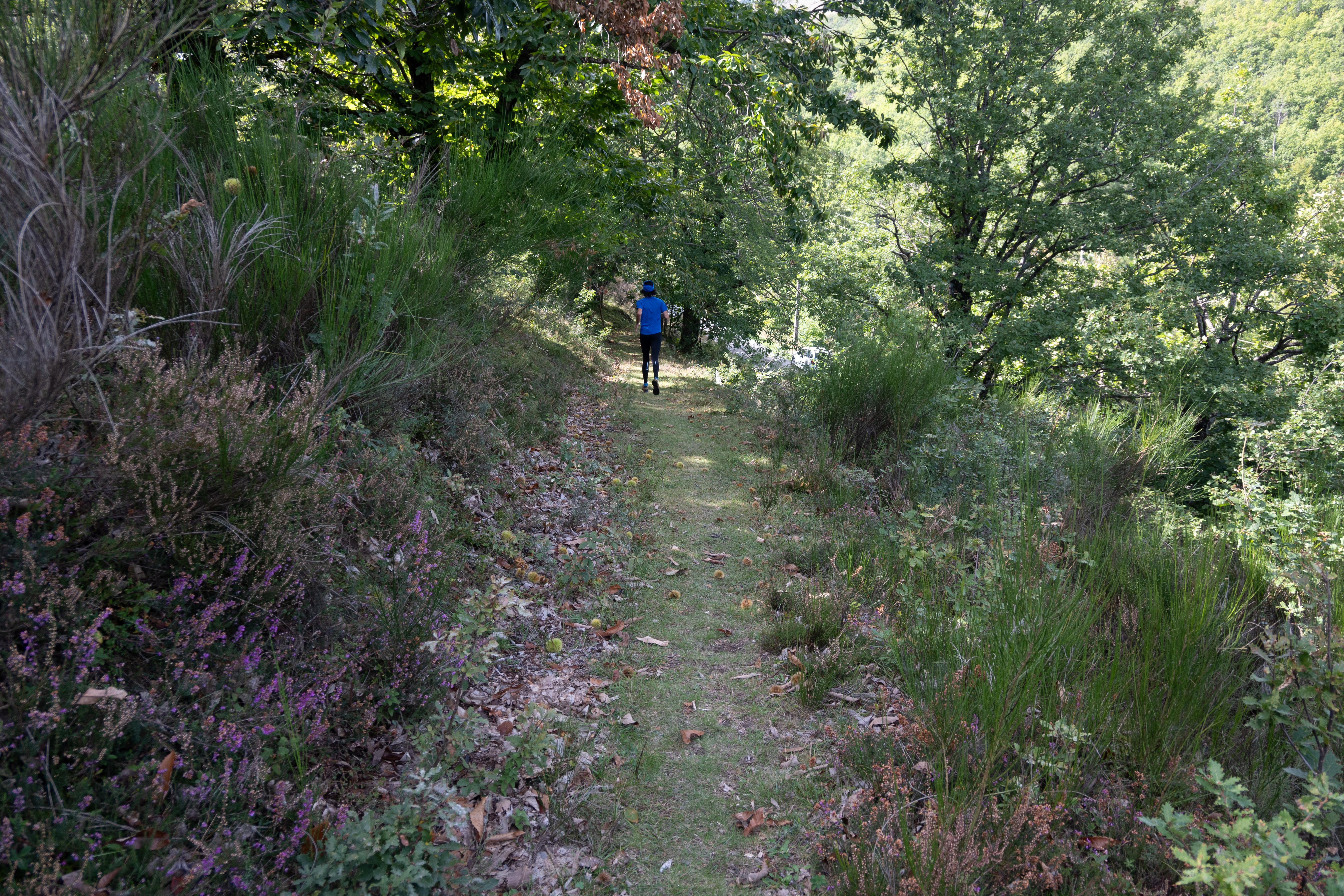 Sentier trail