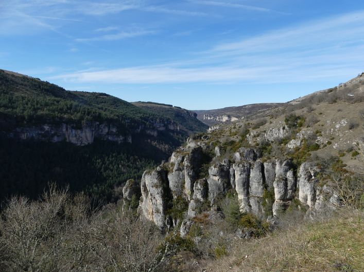 Vallée de la Jonte