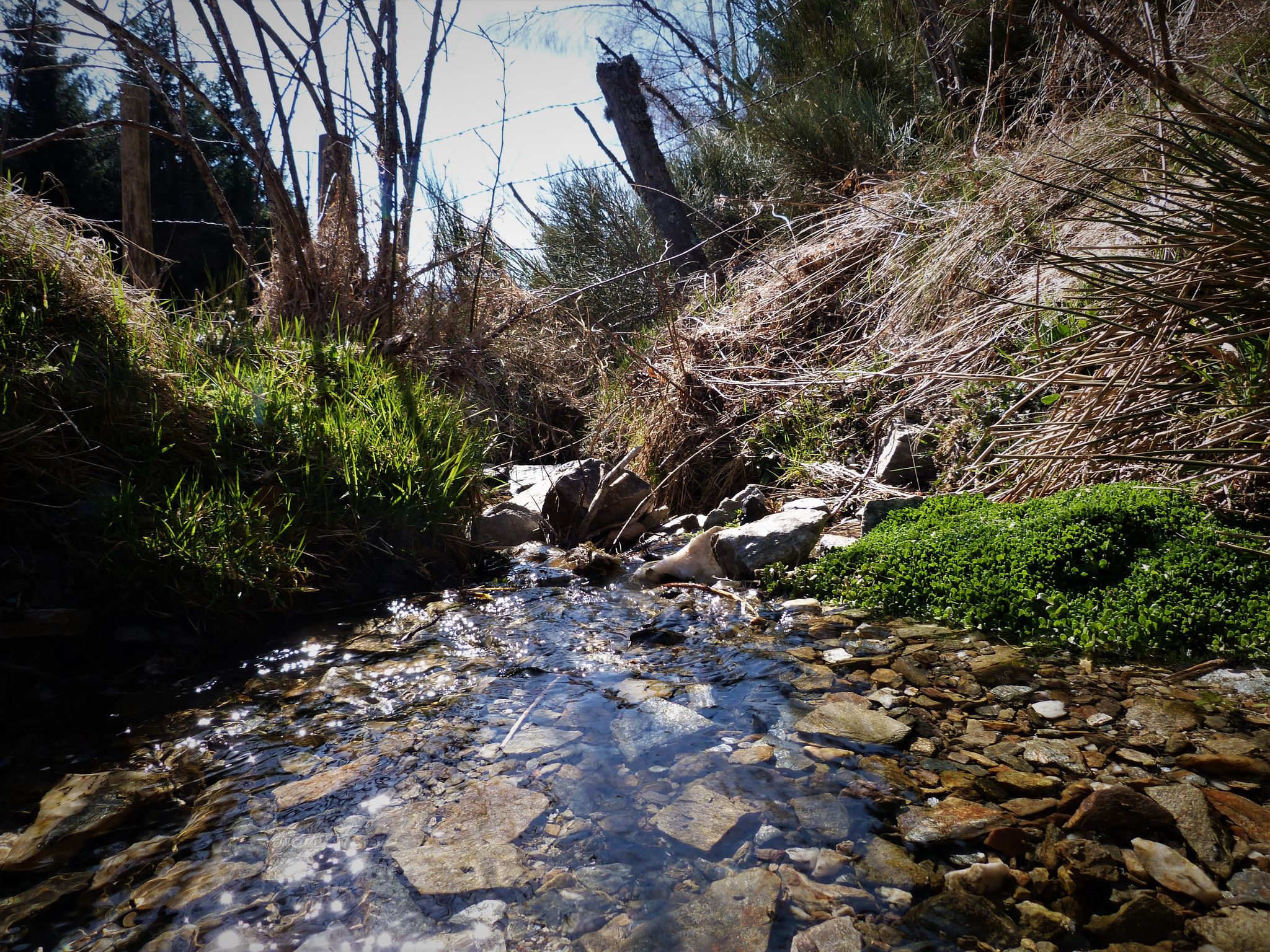 Sentier des sources du Lot