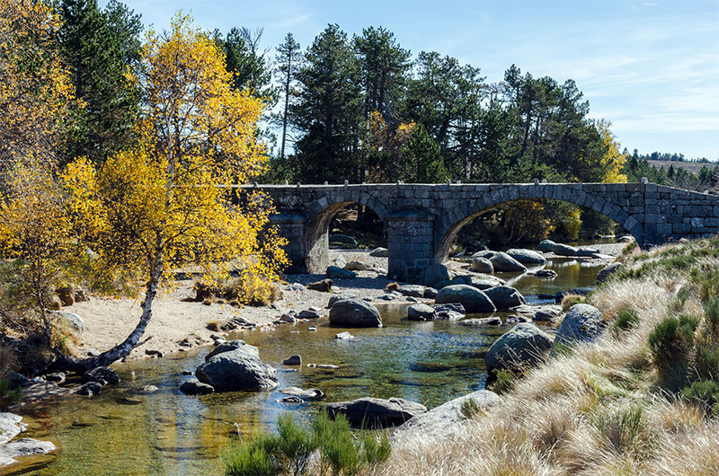 Pont du Tarn