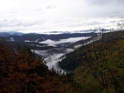 Aire de Côte, levé de soleil dans la mer de nuage