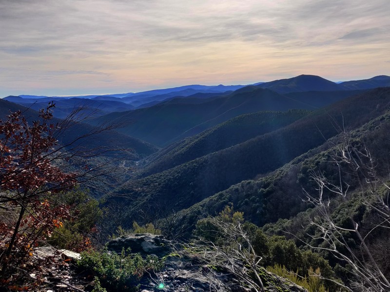 Montagnes bleutées