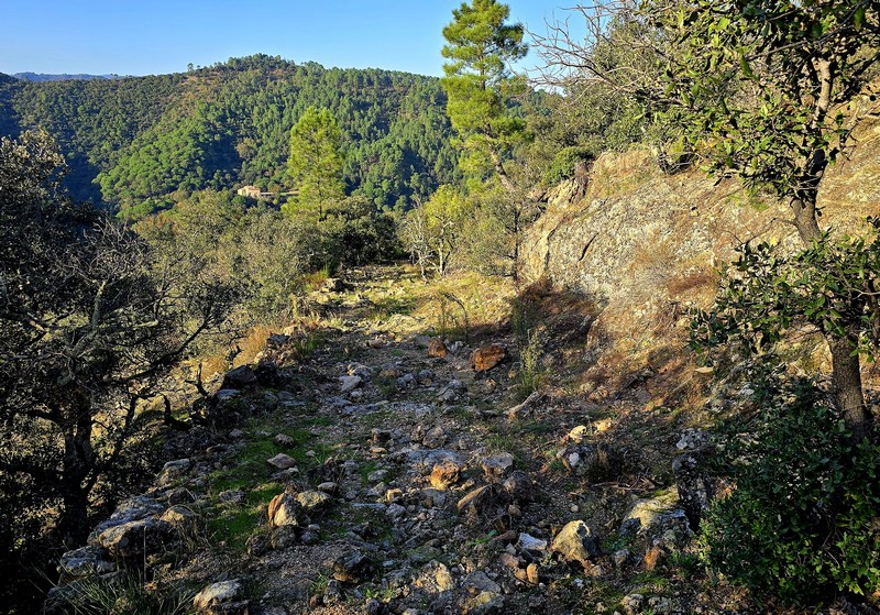 Descente vers St Jean du Gard