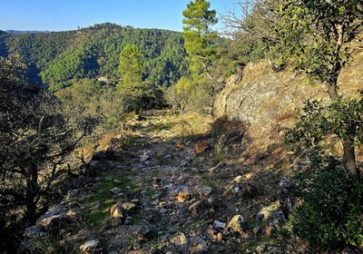 Descente vers St Jean du Gard