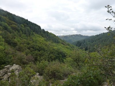 Arboretum de Cazebonne