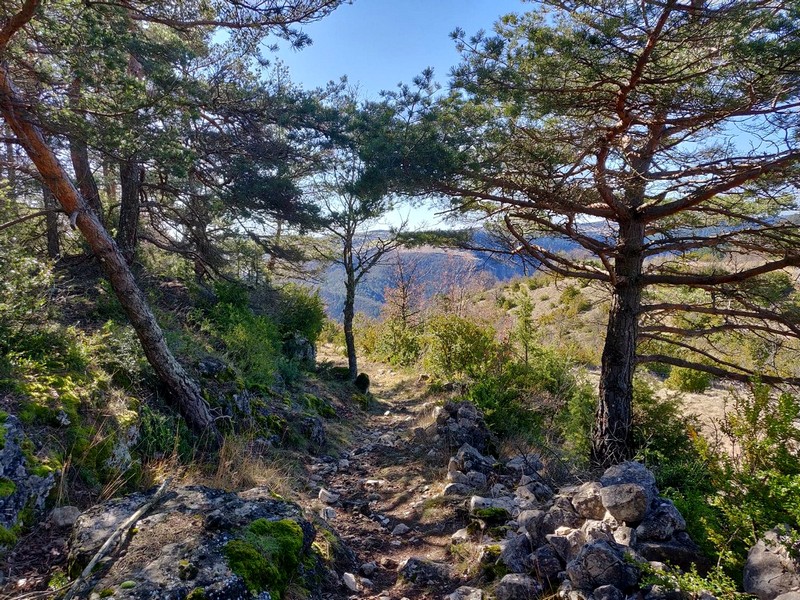 Descente sur le village de Trèves