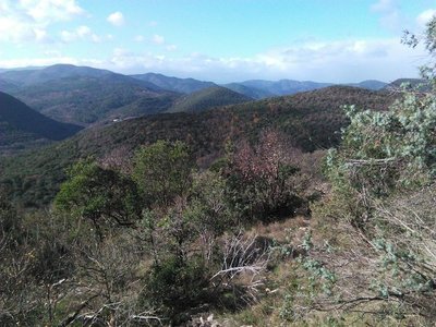 Vue sur les Cévennes