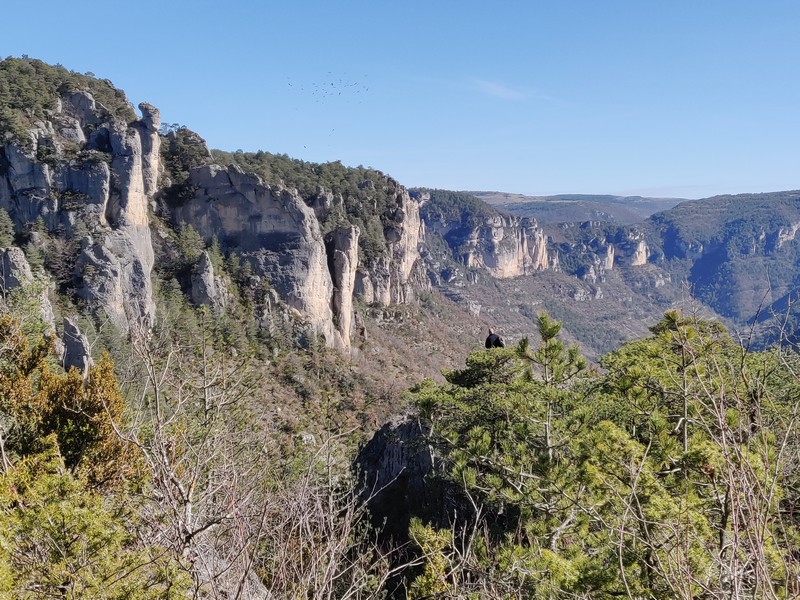 Gorges de la Jonte