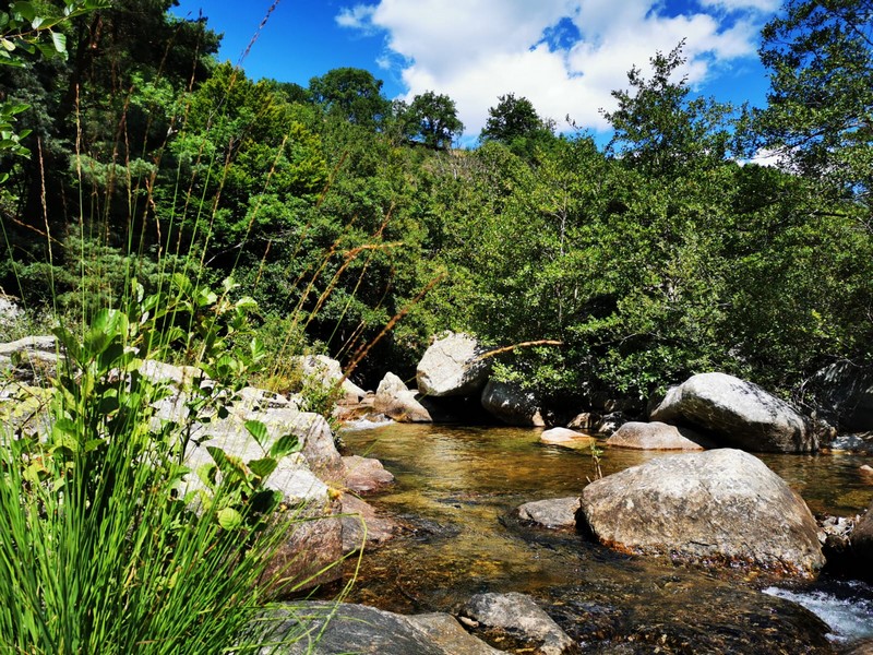 Les eaux cristalines de le Dourbie