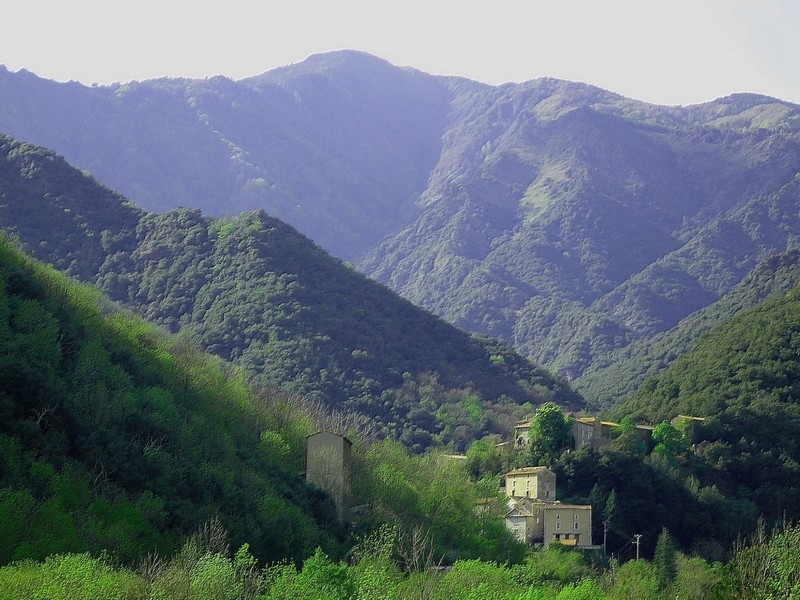 Hameau de Valleraugue