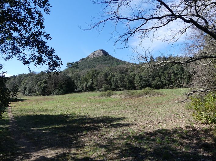 Les Capelans