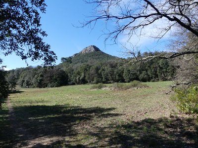 Les Capelans