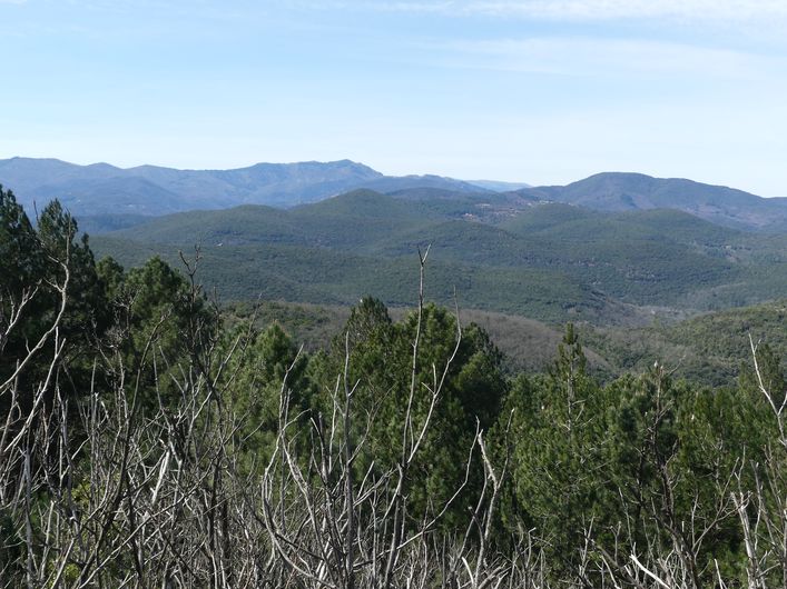 Vue sur l'Aigoual