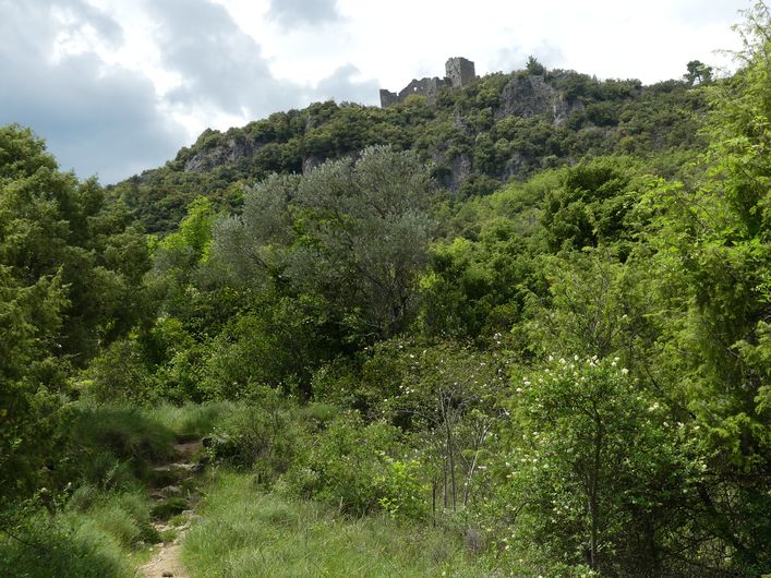 Vue sur le château