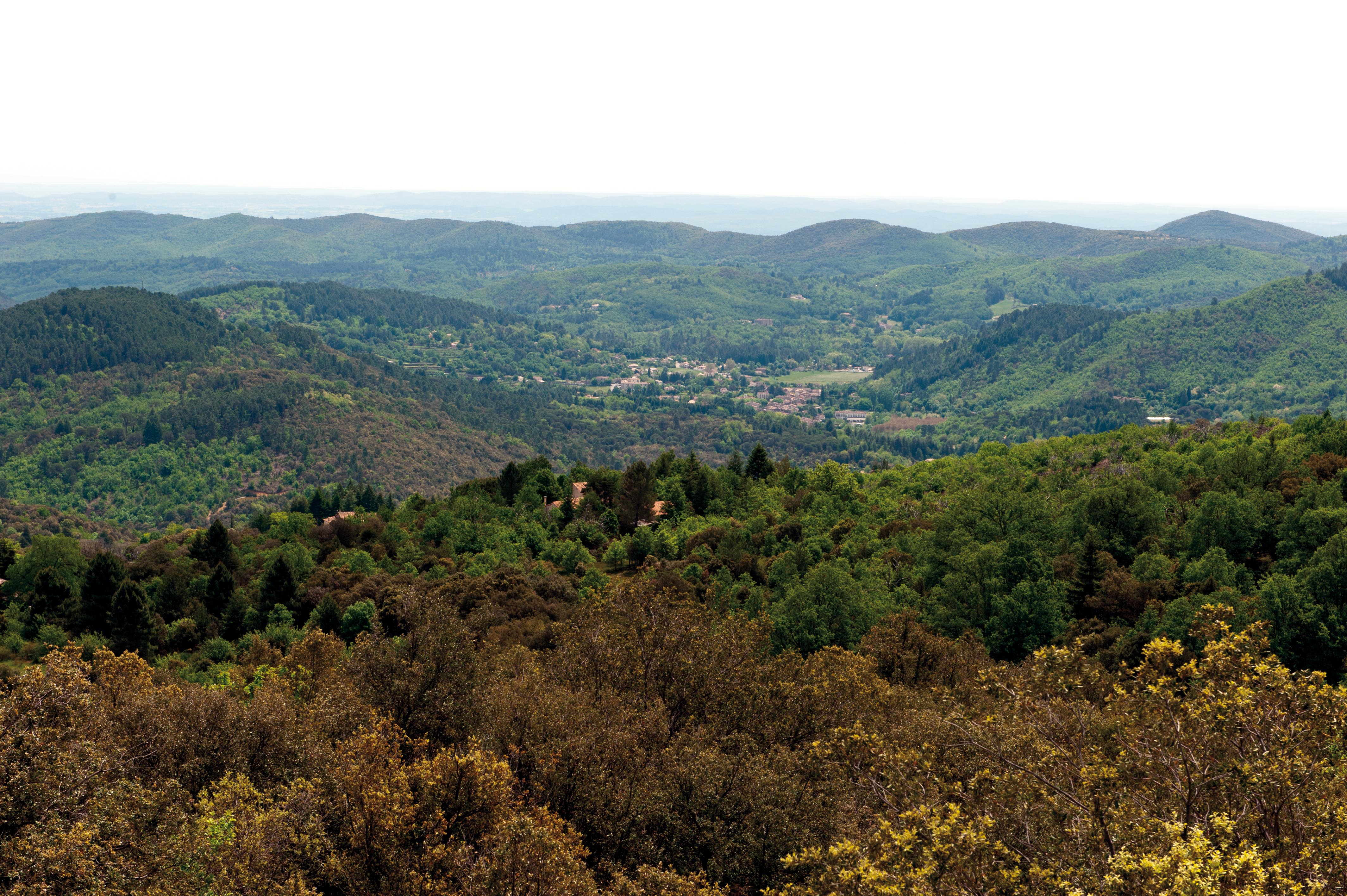 Vue depuis les crêtes