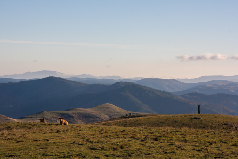 Paysage Cham des Bondons