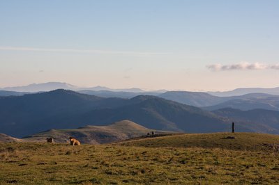 Paysage Cham des Bondons